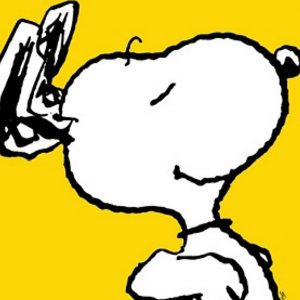 Peanuts, Snoopy Yellow, Giclee auf Büttenpapier, Bildgröße 65x65cm,Limitierte Auflage 299