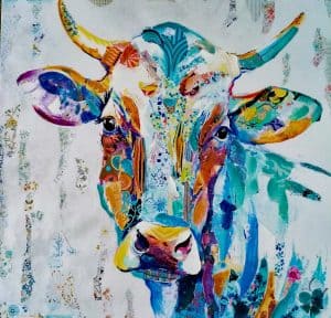 Vache Coloree